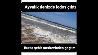 #ayvalık #deniz #fıtına #bursa  AYVALIKTA DENİZDE LODOS ÇIKTI VE BURSA ŞEHİR MERKEZİNDEN GEÇTİM