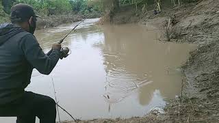 Berburu Ikan Di Sungai Hasilnya Melimpah