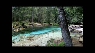 ŞIKIR ŞIKIR SU SESİ KUŞ SESİ DOĞANIN İÇİNDEN RUHUNUZU RAHATLATAN SESLER WATER - SOUND NATURE SOUND