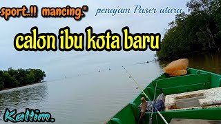 mancing kakap dimuara/ umpan udang hidup