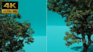 005 - Green Screen | Chroma Key | Corner Tree 4K