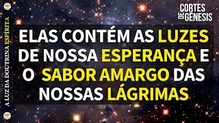 183 - ELAS CONTÉM AS LUZES DE NOSSA ESPERANÇA E O  SABOR AMARGO DAS NOSSAS LÁGRIMAS