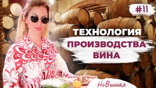 Как изготавливают ВКУСНЕЙШЕЕ ВИНО? Традиционное виноделие Черногории.