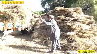 Wheat harvest machine with Tractor | Village life in Pakistan 2019