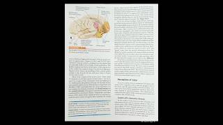 Analysis of visual information: Role of Visual Association Cortex, #perception #visualsystem #cortex