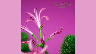 Pop Ambient 2014 (full album)