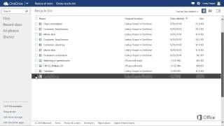 Overview of the OneDrive Recycle Bin