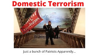 What Happened Today was Domestic Terrorism