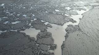 Did you know there is a Black Lake, just north of Tuscaloosa?