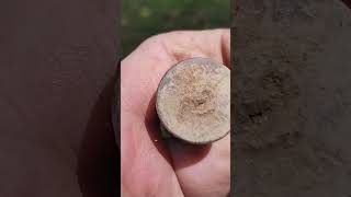 Metal detecting #metaldetecting #treasurehunting #metaldetectingfinds