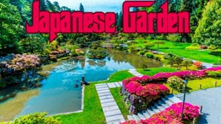 Amazing Outdoor Garden | Koi Japanese Pond | Japanese Garden | Part 4