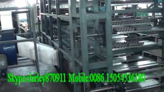 fully automatic drying line working for pulp molding products