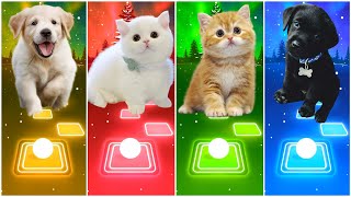 CUTE CATS VS DOGS | BLOODY MARY VS WAKA WAKA | TILES HOP EDM RUSH