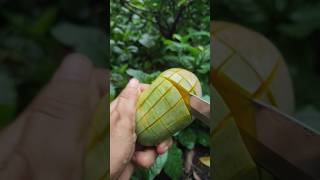 satisfying ASMR Mango cutting #asmr #mango #shorts #youtubeshorts #trending