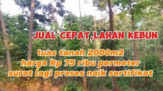 jual tanah, luas 2000m2,harga Rp 75 ribu permeter, legalitas sedang proses naik sertifikat