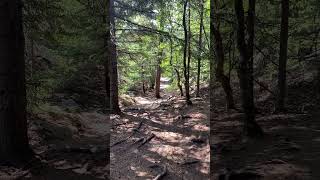 Hiking to Yakutania point, Skagway, Alaska