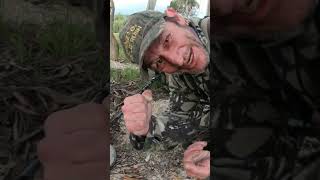 #Nice patch of little #gold nuggets Wedderburn #metal detecting (Episode 110 full video)