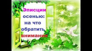 Эписции осенью : на что стоит обратить внимание !