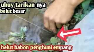 ampun perlawanan belut besar mematahkan kail mancing belut