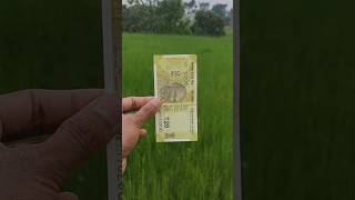 Indian Rs 20 rupees note 24 hours in water crazy experiment 😱 #shorts #educationshort #Indianrupees