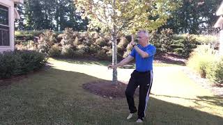 Tai Chi Yang Form 24 Lesson 10 Search for Needle, Fan to Back to Deflect Downward