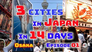 3 Cities in 14 days | Japan Travel Episode 01 | Tour in Osaka Japan | William D Channel