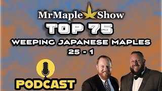 Top 75 weeping Japanese Maples #'s 25 - 1 | MrMaple Show Podcast