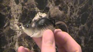 Koppers Live Target Field Mouse: Impressive Topwater Lure