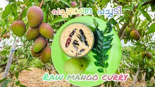 PACHA MANGA PACHADI | പച്ചമാങ്ങ പച്ചടി | RAW MANGO CURRY |വേവിക്കാതെ എളുപ്പത്തിൽ ഉണ്ടാക്കാം|