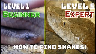 How To Find Snakes At 5 Difficulty Levels! (Beginner to Expert)