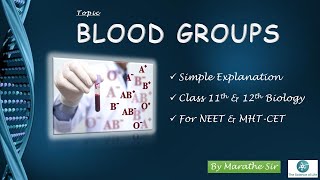 BLOOD GROUPS IN HUMANS | BIOLOGY TUTORIALS | NEET | MHT-CET