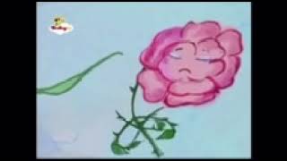 noitanraC dna esoR rose and carnation but reversed