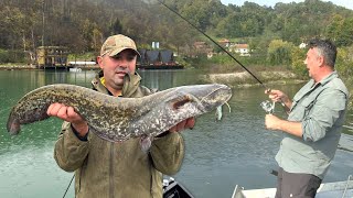 Pecanje soma, mrene i deverike na Zvorničkom jezeru - Zelenika resort | Fishing catfish