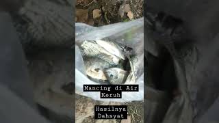 Mancing di Air Keruh, Tenyata Hasilnya Melimpah