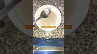 DIY FlaxSeeds Gel & Mask - Fast Hair Growth & Soft Shiny Hair #shorts