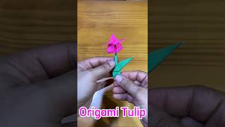 Origami Tulip (Easy) #origami #papertulip #diy #paperflorist #papercraft #paperflower #tulipa