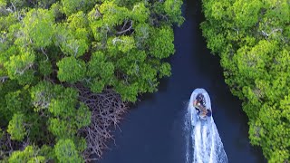 Storing the boat in the mangrove - Ep48 - The Sailing Frenchman