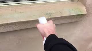 Fast Mold and Mildew Remediation on Window Sill