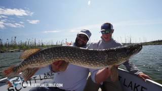 Drone view fly fishing for Giant Northern Pike - Saskatchewan Luxury Fishing Lodge