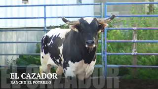 Todo listo para este domingo de los toros que bienen en reto y que podran presenciar este domingo 22