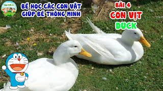 MỘT CON VỊT🦆DUCK 🦆Bé Học Các Con Vật|Nhạc Thiếu Nhi Giúp Bé Thông Minh|Nhạc Thiếu Nhi Mầm Chồi Lá