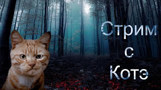 Есть кто? | Очеень давно не виделись