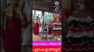 കല്ലടിക്കോട് കരിനീലിയമ്മ നീരാടുന്നതാണ് സന്ദർഭം#shorts #വേദമന്ത്ര#bakthi