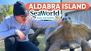 Dive into Adventure with the NEW Tortoise Exhibit at SeaWorld San Antonio's Aldabra Island!