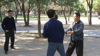 Xu Shi Xi, Yin Style Baguazhang Palm Change Applications