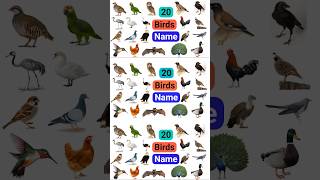 Birds Name I Birds Name In English and Hindi I पक्षियों के नाम Birds Vocabulary#ytshortsvideo #viral