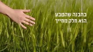 חוות רונית | טבע | Ronit Farm | Nature