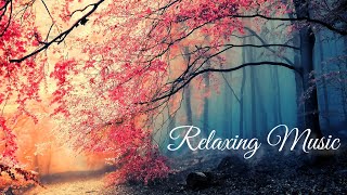 Relaxing Piano & Rain Forest Birds Thunder Guitar-Stress Relief, Peaceful Sleep Music | Instrumental