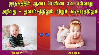 ஜாதகத்தில் ஆணா பெண்ண என எவ்வாறு அறிவது - துவாம்சத்திலும் மற்றும் கடிகாரத்திலும் | By CineAstro