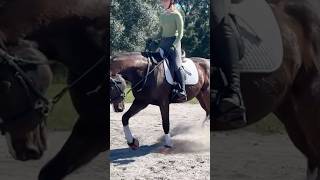 Starboy and girl 💋 #horse #equitation #equestriansport #workingequitation #horsesport #riding